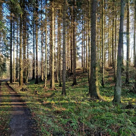Casa de Férias Seaside Haven With Open Terrace